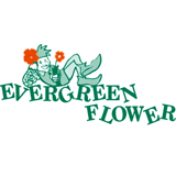 Evergreen Flowers