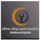 SilverKing Small Engine