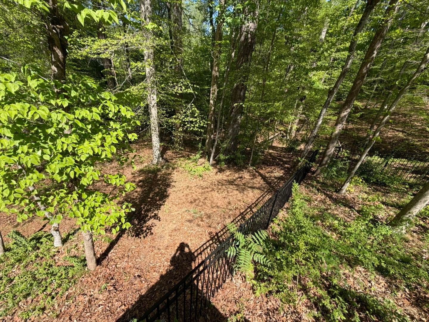 Dexter Land Clearing