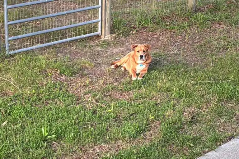 Sniffspot Yolistone Image