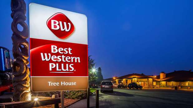 Images Best Western Plus Tree House