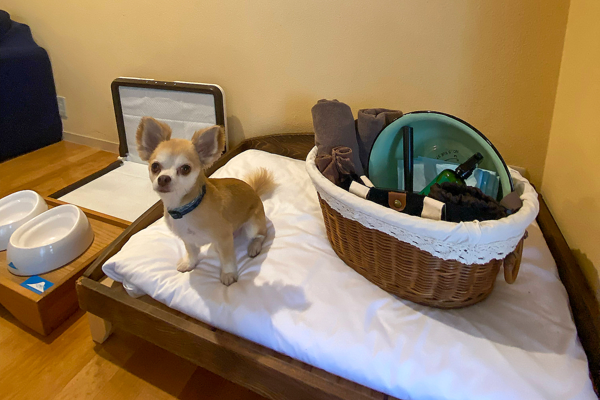 Images フジプレミアムリゾート