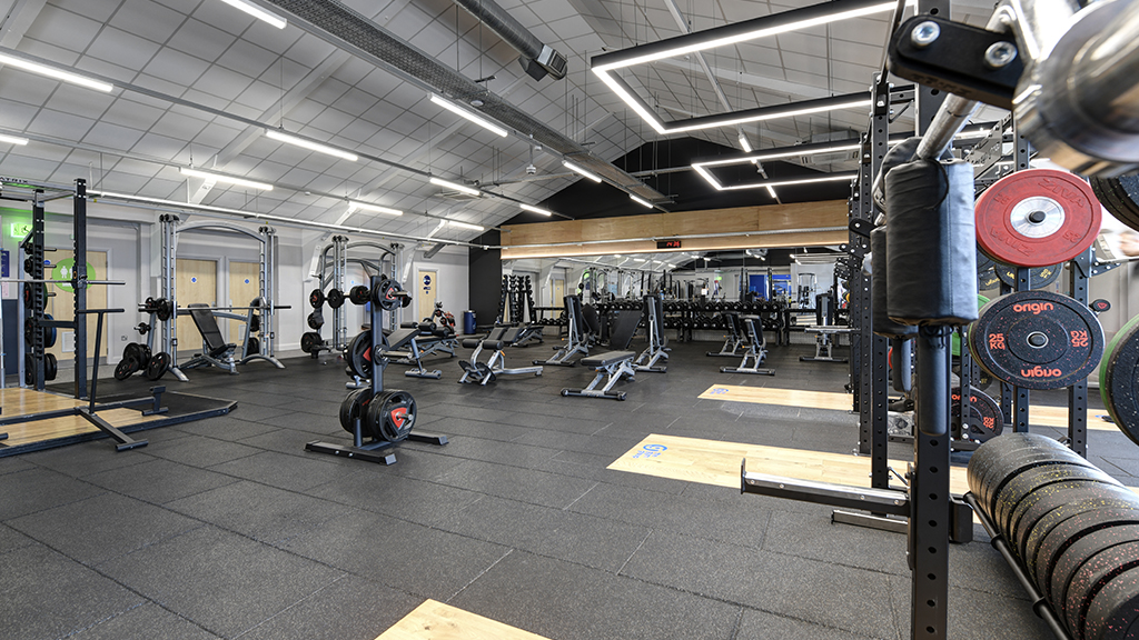 Free Weights Area