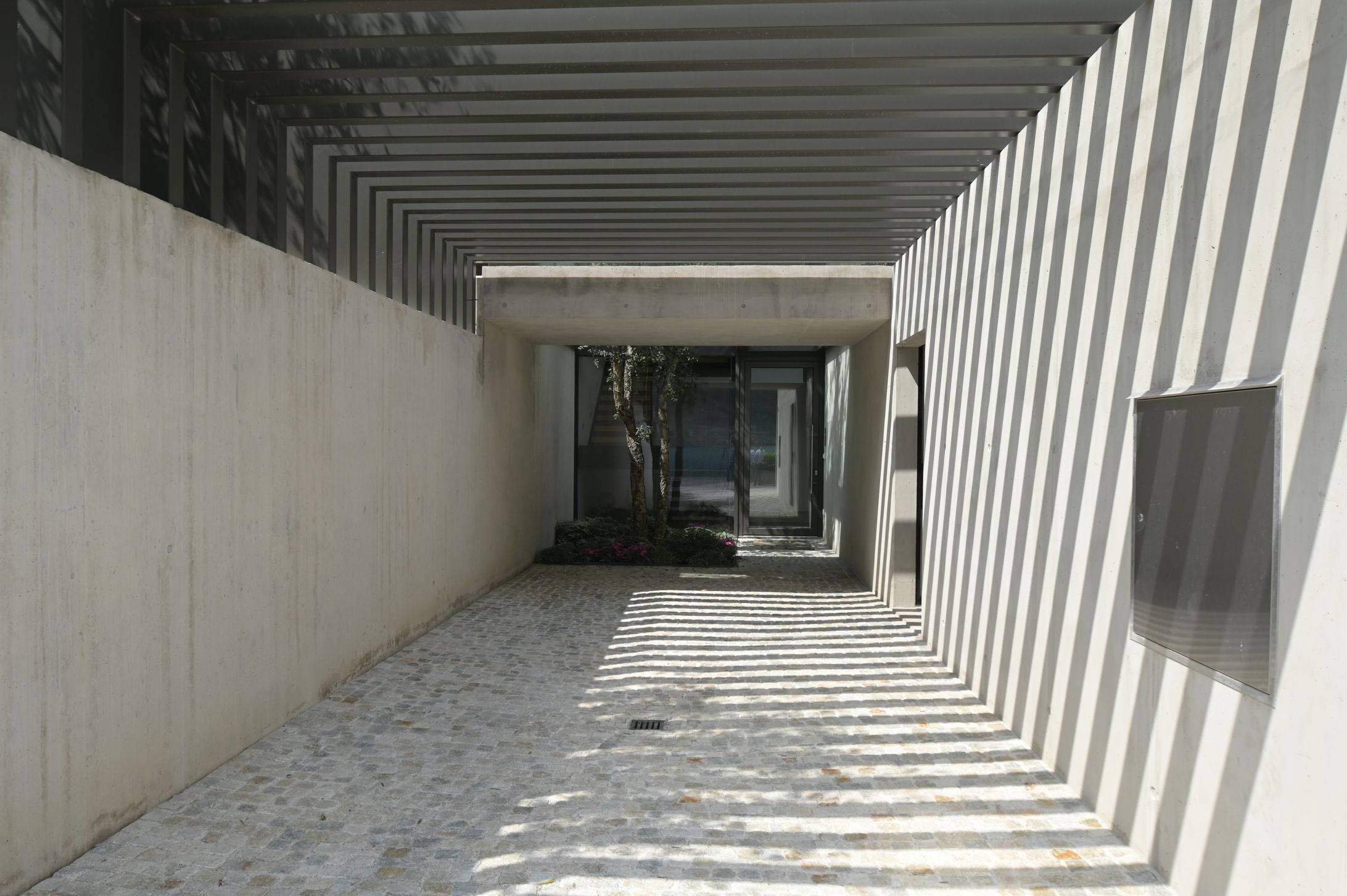 Bilder BAUM Studio Sagl