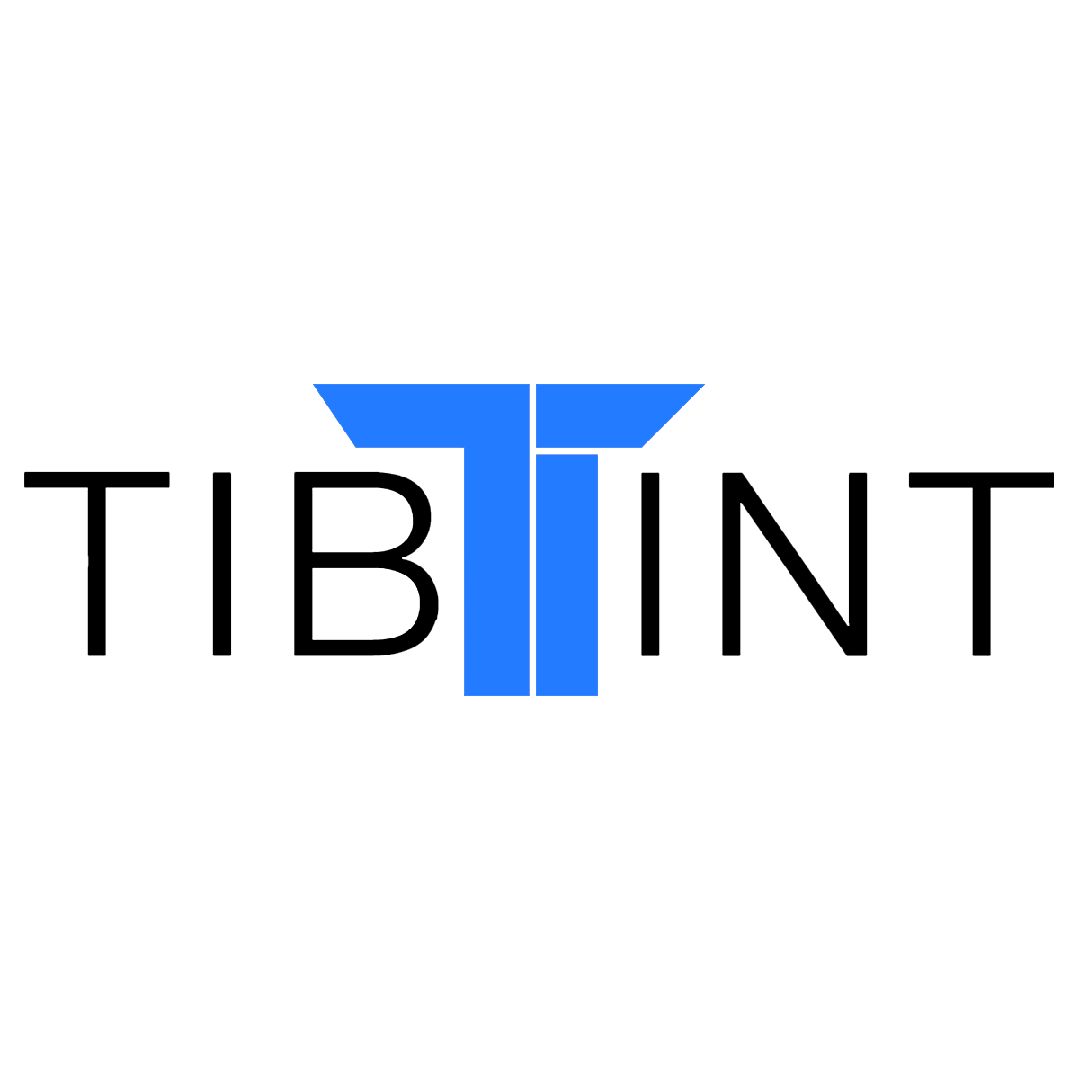 TIBINT Logo