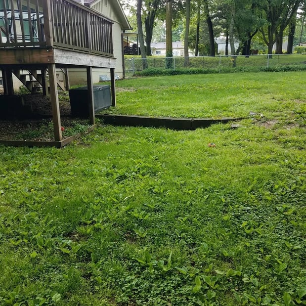 Images Green Light Landscaping