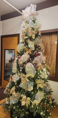 Images Senior Helpers