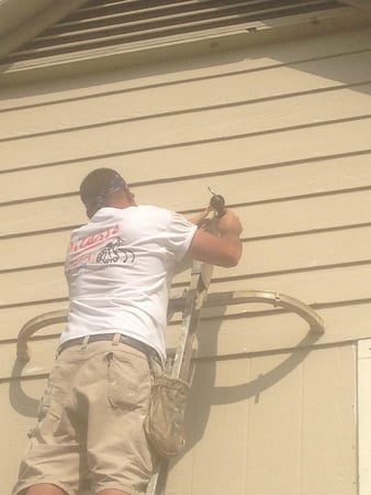 Images Picasso Painting Inc