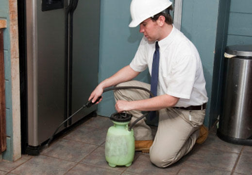 Images Leitchfield Exterminating, Inc.