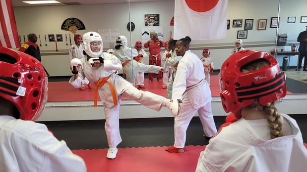 Images Jaguar Dojo