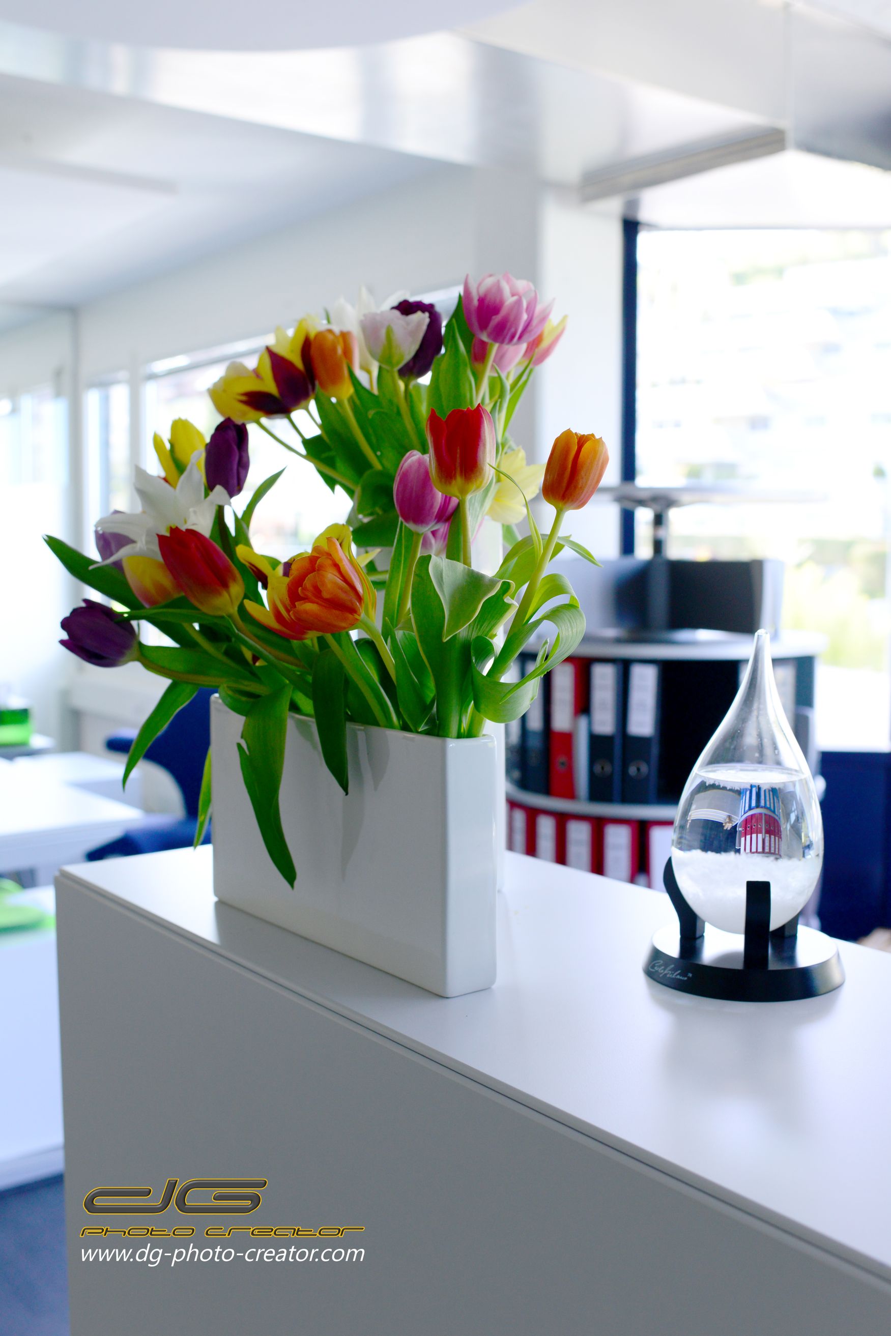 F24 Schweiz AG, Samstagernstrasse 45 in Wollerau