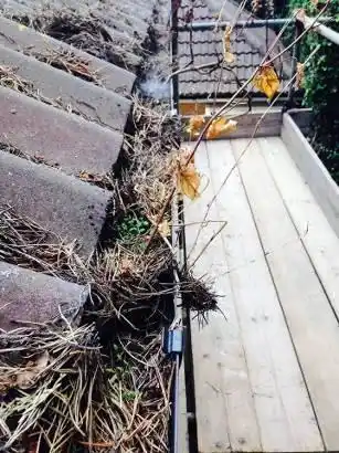 Images Guttaclean Ltd