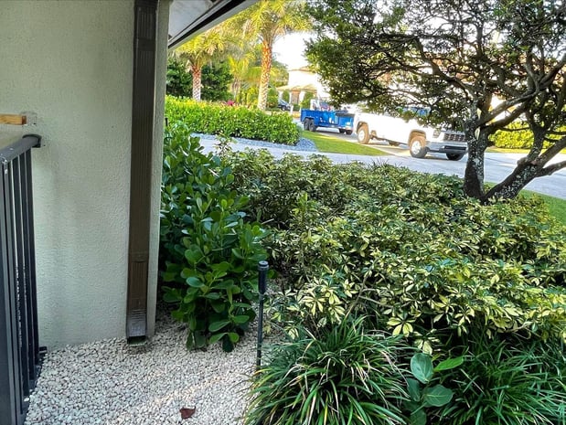 Images Area's Best Landscape Design & Irrigation