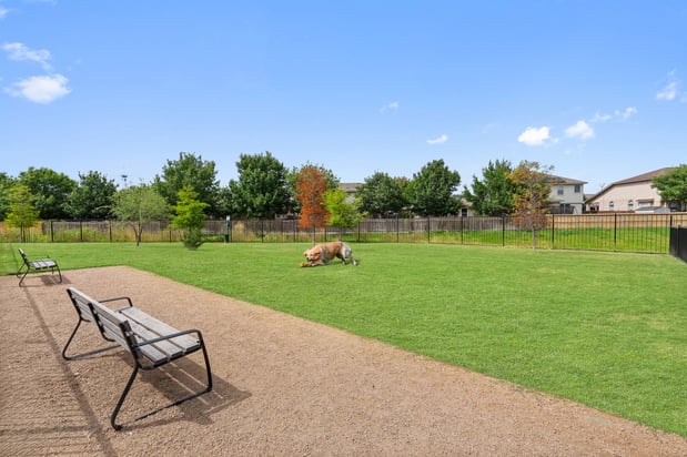 Images Camden Leander Apartments