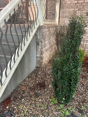 Images United Structural Systems