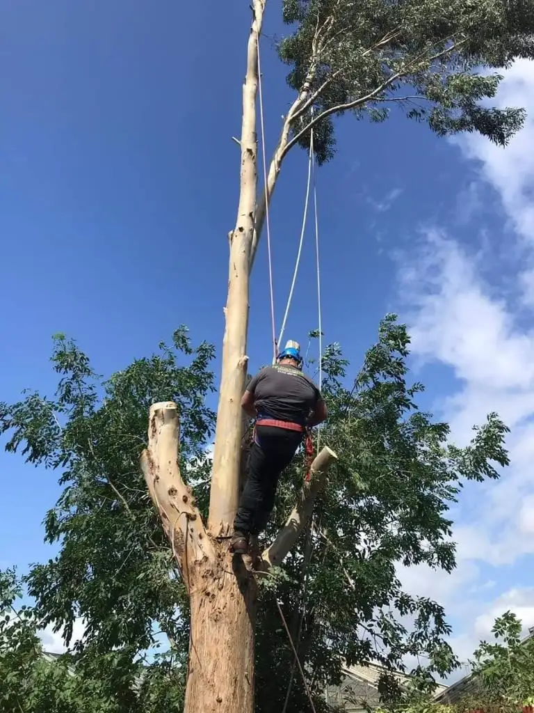 Images J R Stephenson Landscaping Ltd