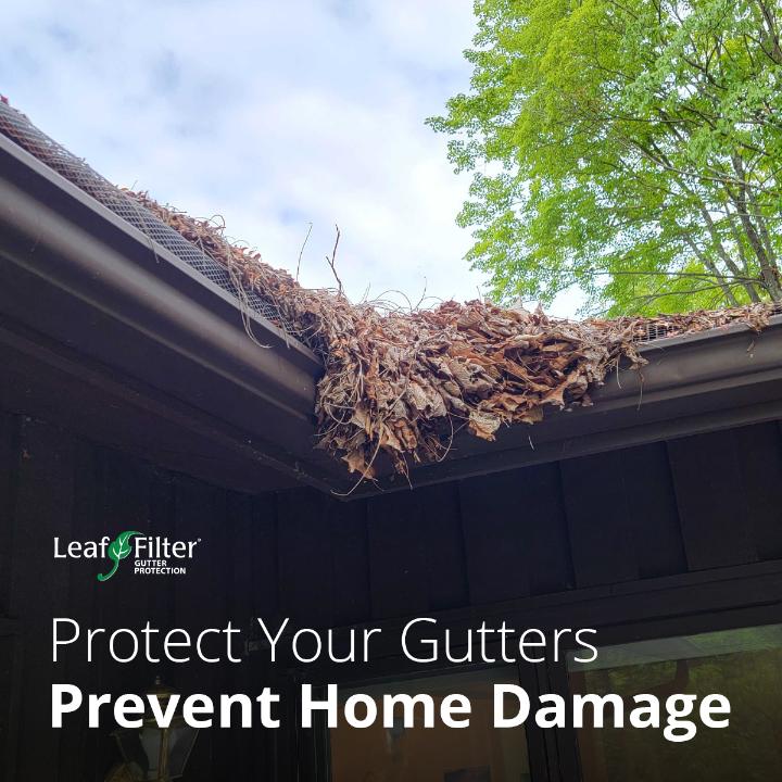 Photo of LeafFilter Gutter Protection, 22405 N 19th Avenue  Phoenix AZ, 85027, (800)290-6106, gutter cleaning service