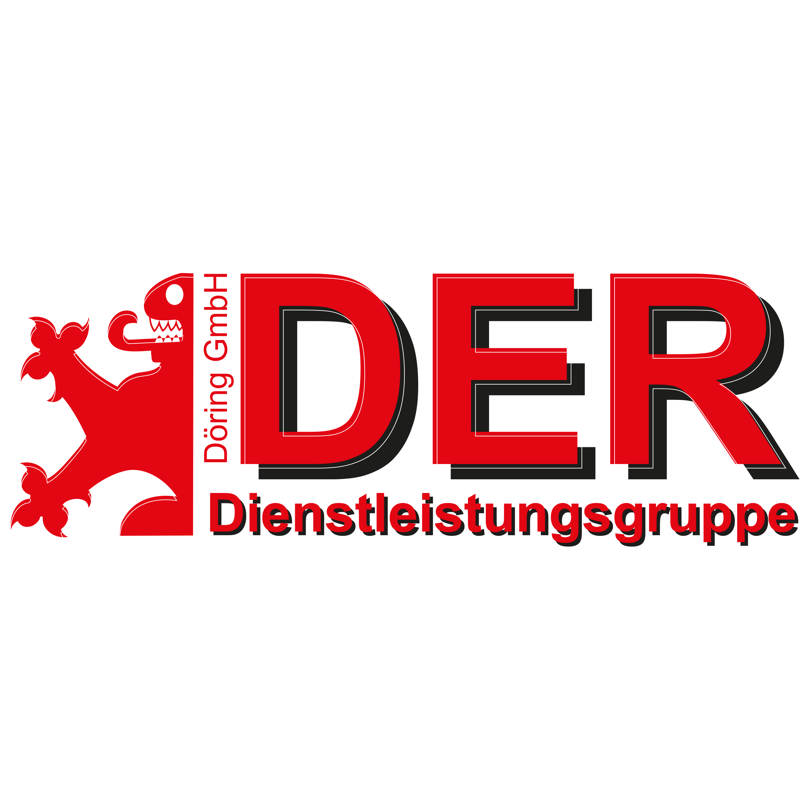 Logo Döring GmbH – DER Dienstleistungsgruppe