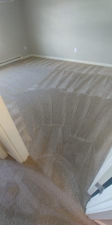 Images Katt Carpet and Upholstery cleaning