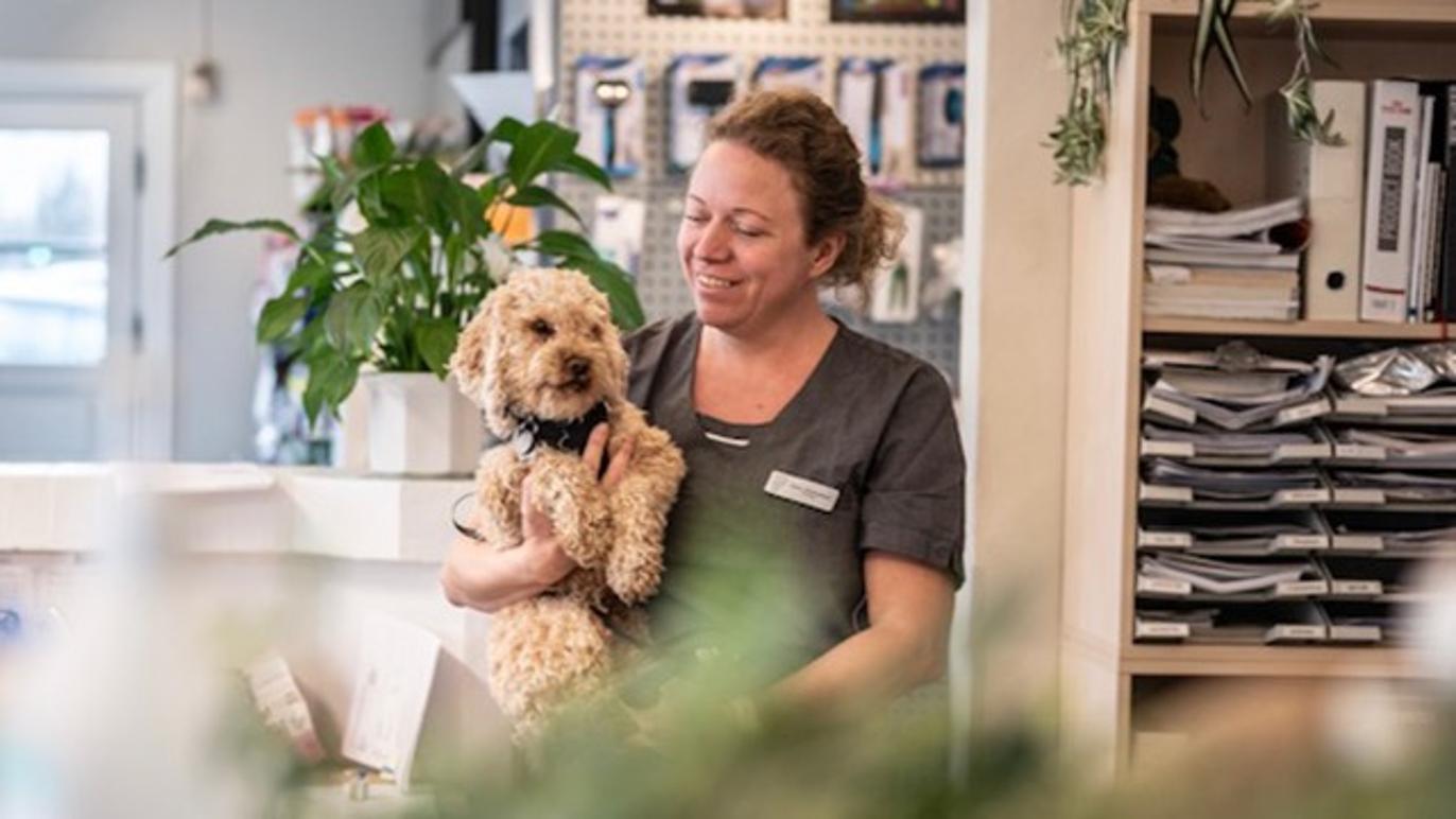 Images Dyrehospitalet 9000 ApS