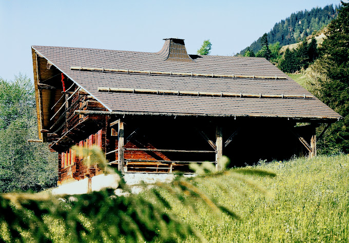 Bilder Linsig SA