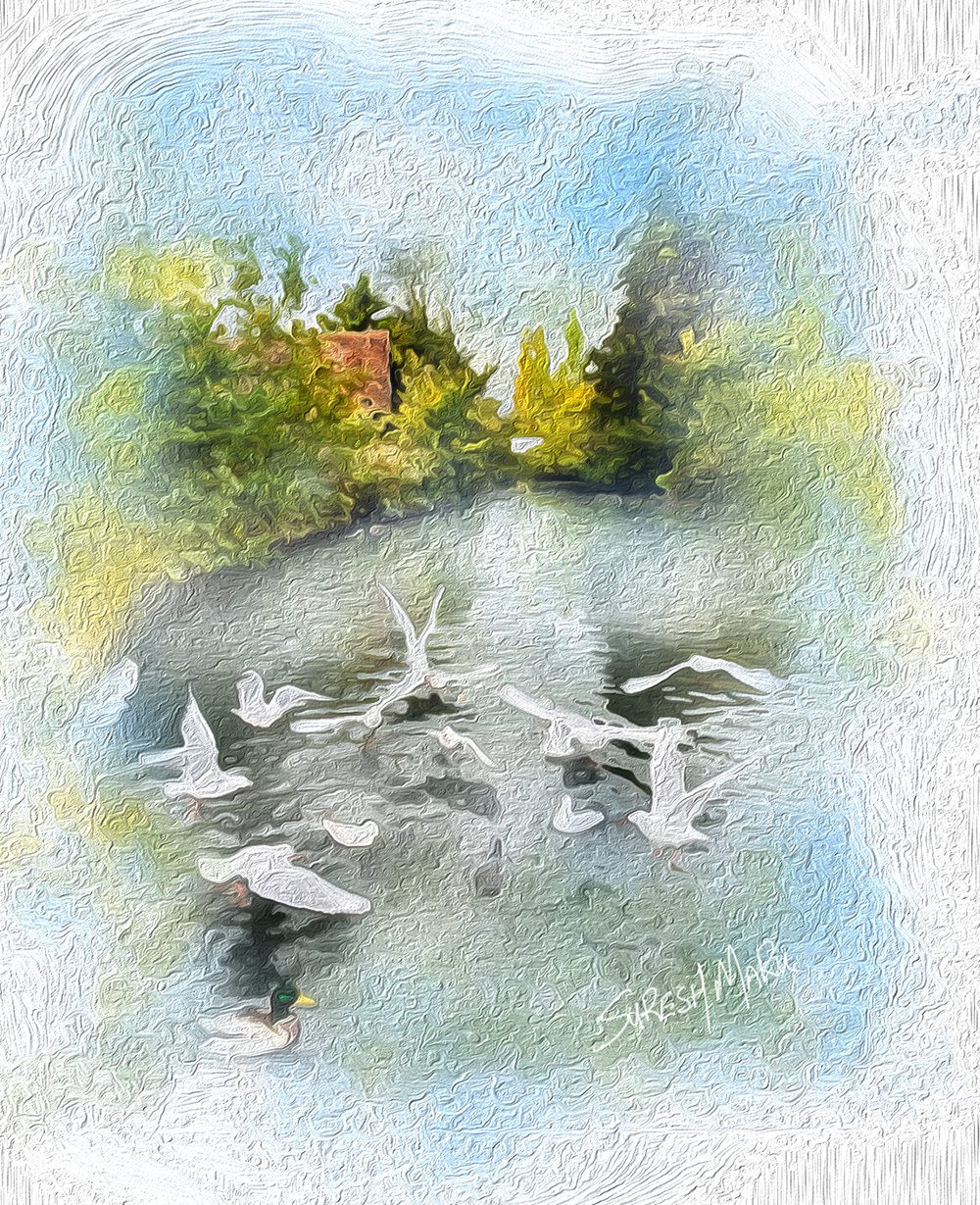 Images FUSIONARTSHOP