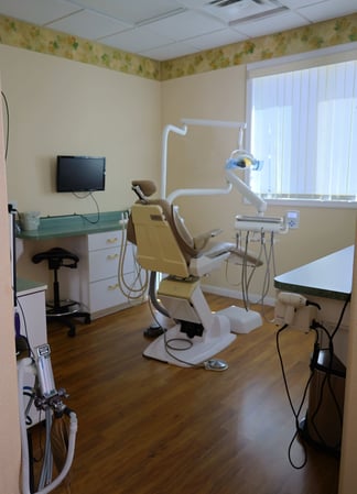 Images Dr. Teeth–Dr. Alison Defilippi & Dr. Whitney Bryant