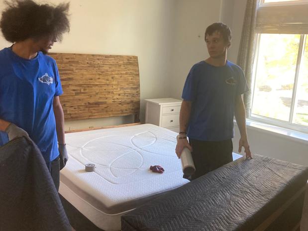 Images Rhino Brothers Moving LLC