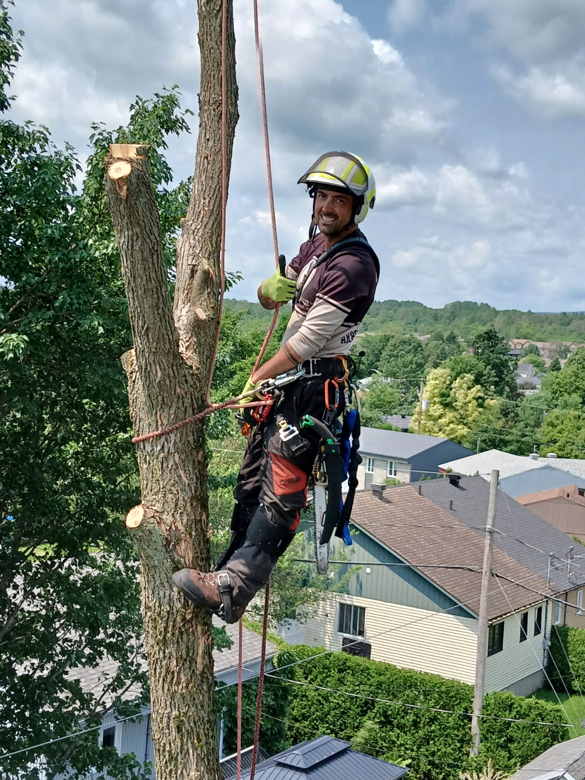 Images Arboriculture DB Inc.