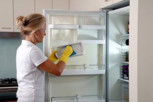 Lisa Malicki cleaning service