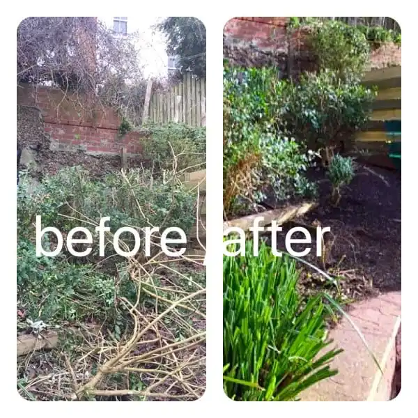 Images Prostyle Gardening & Home Services