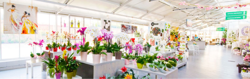 Images Garden Market