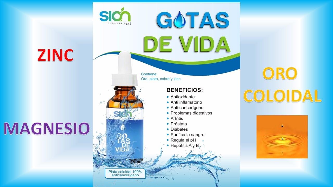 Foto de SIÓN INTERNACIONAL - GOTAS DE VIDA Foto de SIÓN INTERNACIONAL - GOTAS DE VIDA