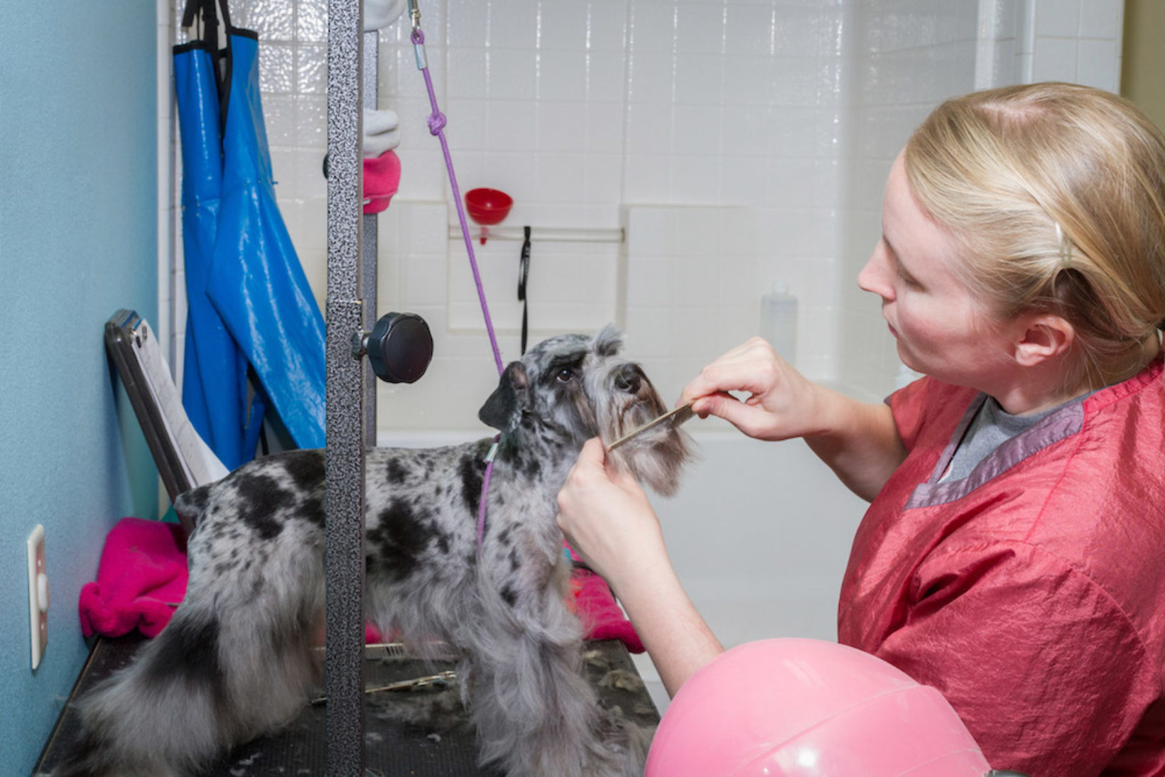 Grooming