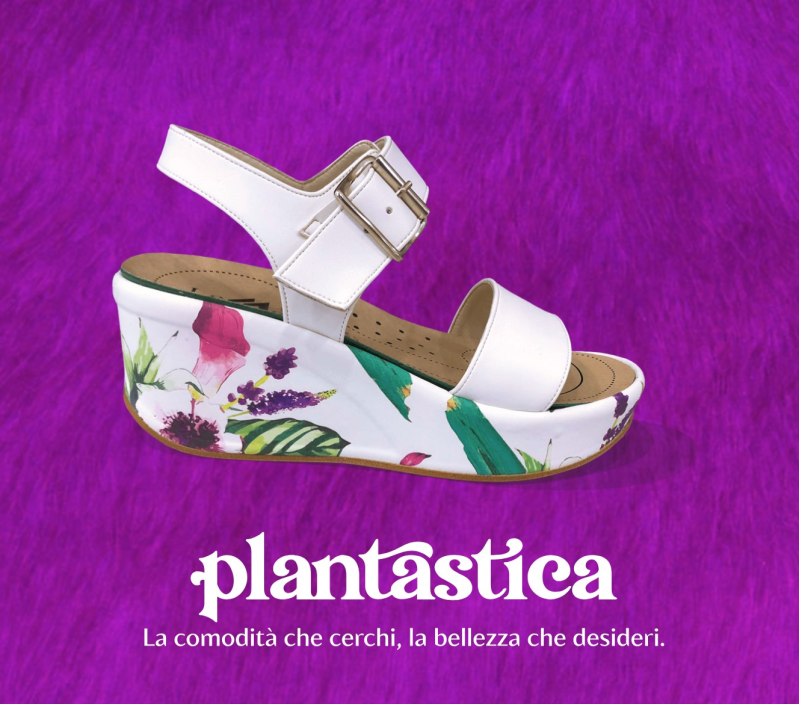 Images Merolla Store