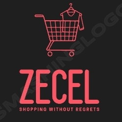 ZECEL in Magdeburg - Logo