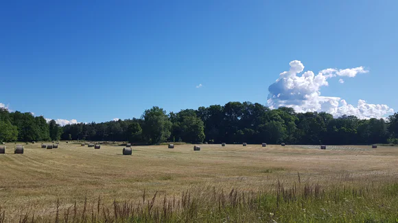 Images LähiTapiola Etelärannikko, Korppoo
