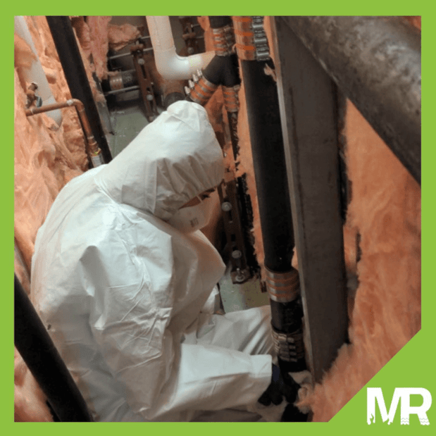 Images Master Restoration