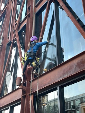 Images RayAccess, Inc.