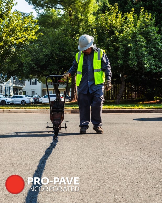 Images Pro Pave Inc