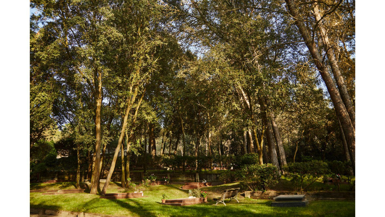 Cementiri Comarcal Roques Blanques 66