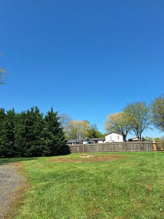 Images David Kennedy Tree & Landscaping