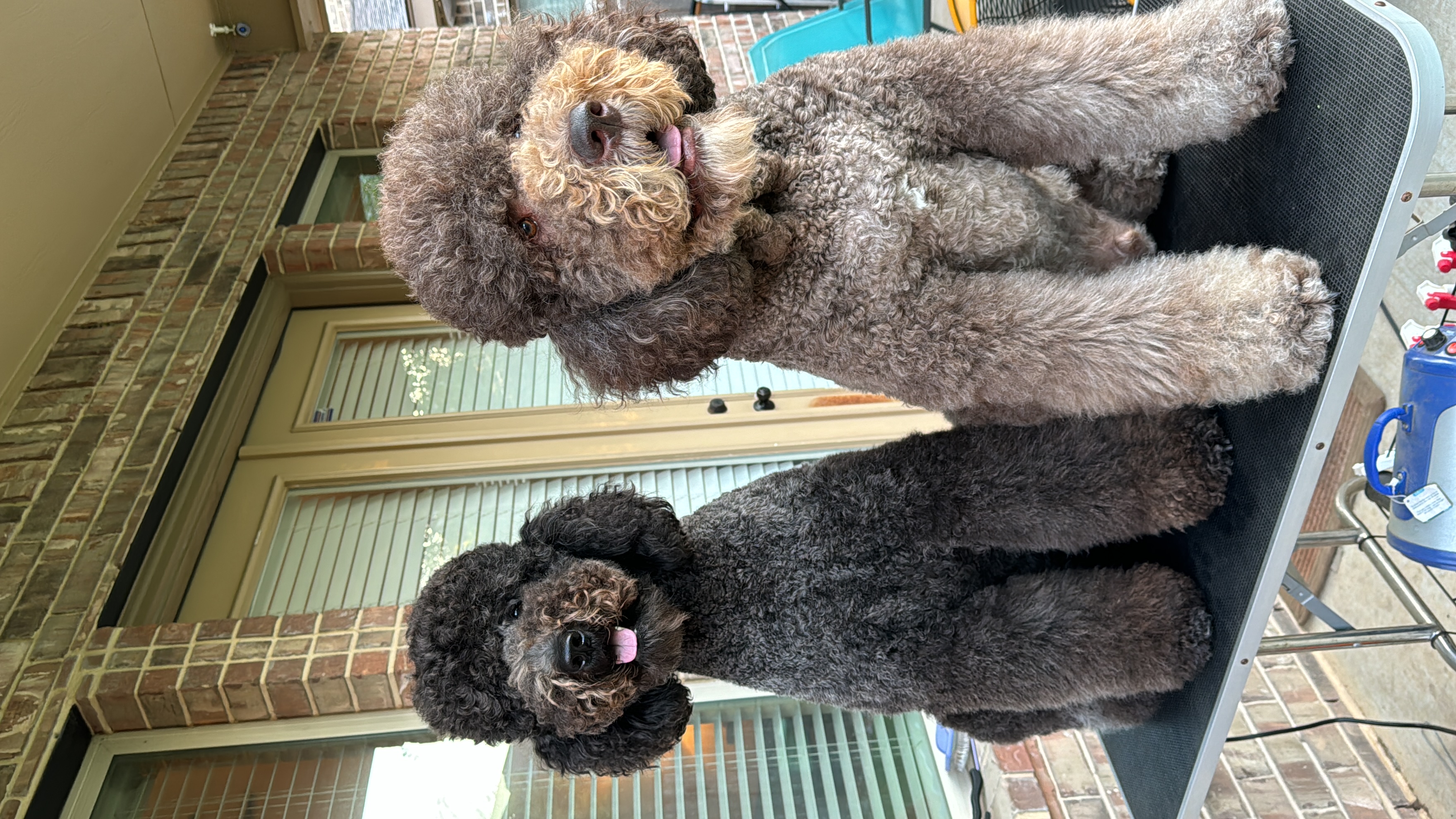 Doodle Me This Kingston and Hamilton LLC Image