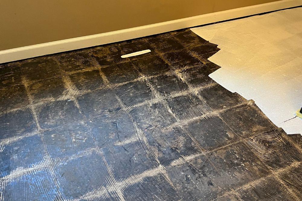 Pictured here is black mold contaminating a basement hallway floor.