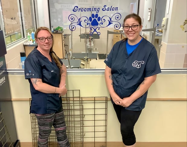 Images Petco Grooming