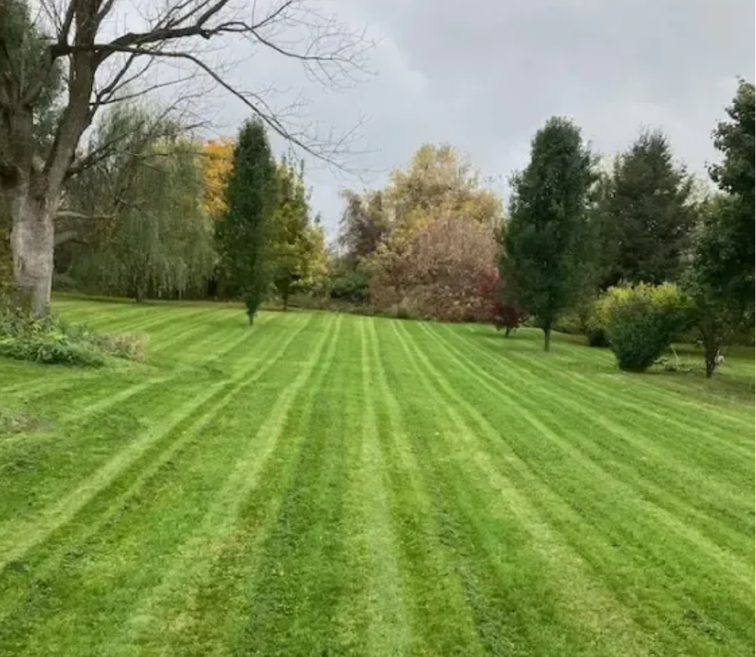 A beautifully mulched island garden bed featuring lush hostas, a small decorative tree, and a stunning white dogwood tree in full bloom. Grounded against a black metal fence, this showcases premium residential mulching and spring yard cleanup services by JB Lawncare Services.