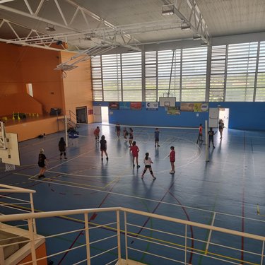 Images Club Deportivo de Voleibol Dracs