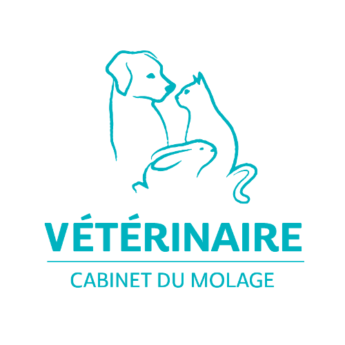 Cabinet vétérinaire du Molage Logo