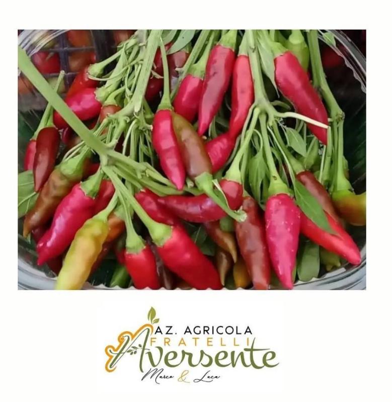 Images Azienda Agricola Aversente