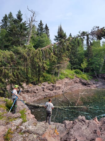 Images McMillan Tree Service